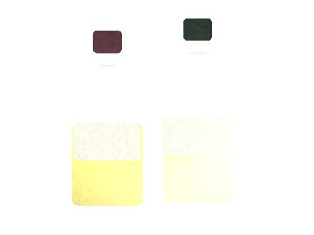 Air Bar Lux Lite: Flavor Portfolio for Distributors
